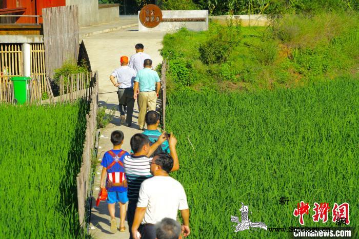 满运磊：被村民称为“自家人”的第一书_民进-布依族-村里-