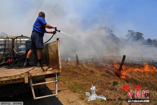 澳大利亚东部林火持续延烧当局吁居民游_悉尼-澳大利亚-持续-