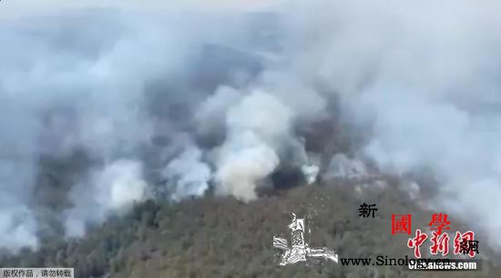 我不会退缩！澳大利亚女志愿消防员带孕_悉尼-澳大利亚-消防员-