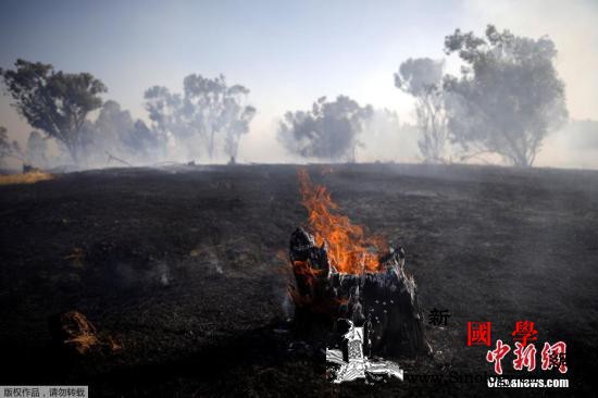 巴勒斯坦官员：以色列对加沙地带的空袭_巴勒斯坦-伊斯兰-空袭-