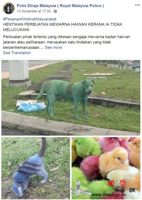别再给动物染色！马来警方：不人道或危_马来西亚-染色-马来-