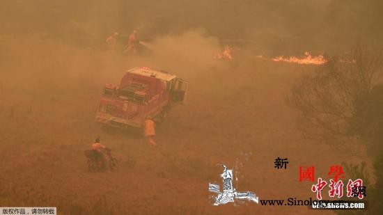 澳东部野火仍在肆虐下周或面临更严峻挑_澳大利亚-火灾-雷诺-