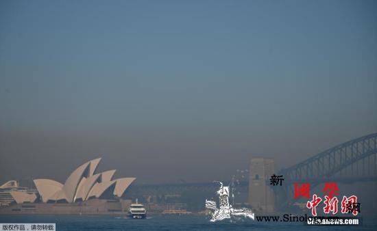 澳大利亚野火威胁程度升高浓浓烟霾笼罩_悉尼-澳大利亚-野火-