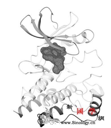 首次实现“出海”的抗癌原研药到底好在_审评-淋巴瘤-神州-