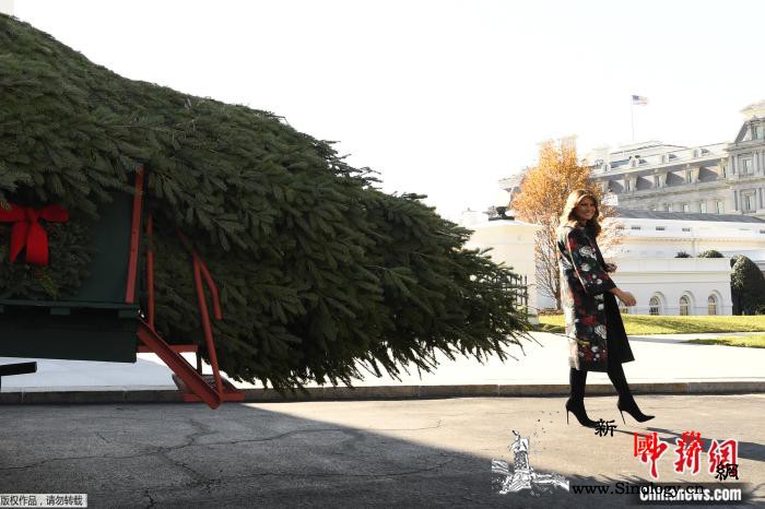 美第一夫人接收逾5米高圣诞树开启白宫_圣诞-圣诞树-美国-