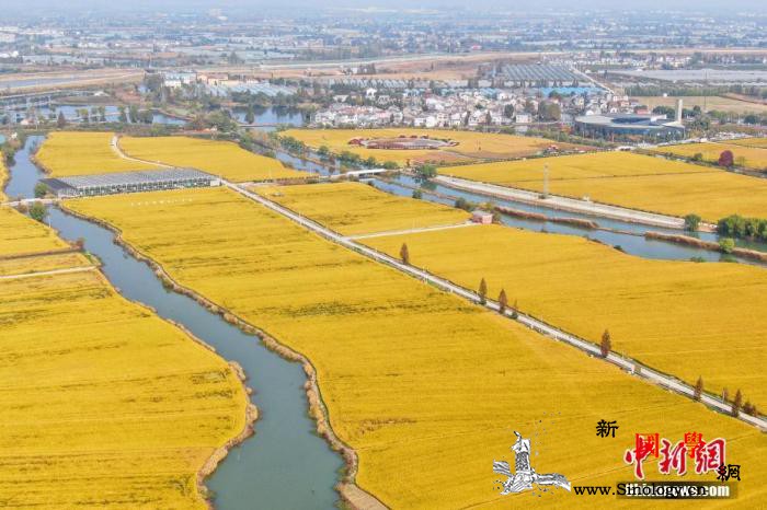 进城农民承包地如何处置？农业农村部长_进城-承包-水稻田-