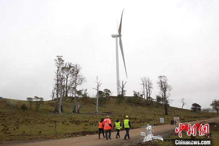 中国电建投资澳大利亚风电项目首机并网_澳大利亚-图为-牧牛-