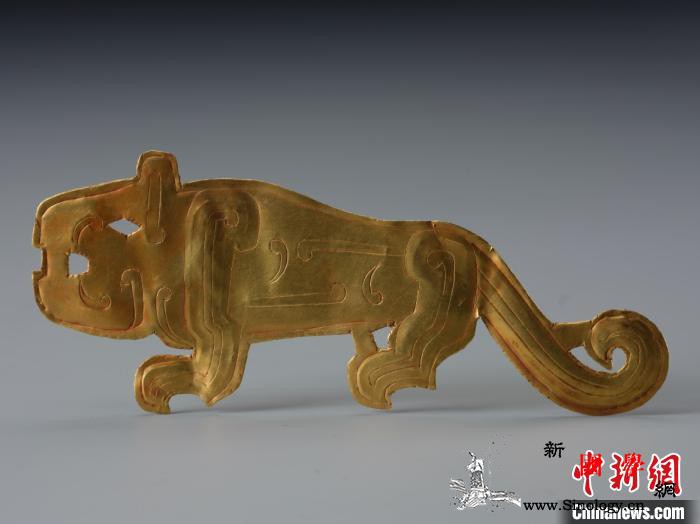 探秘东周古芮国刘家洼考古成果将首现国_权杖-出土-东周-