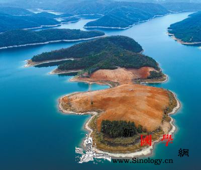 湖北当阳湖心岛咋就被“全垦”成这样？_荆门市-漳河-承包人-