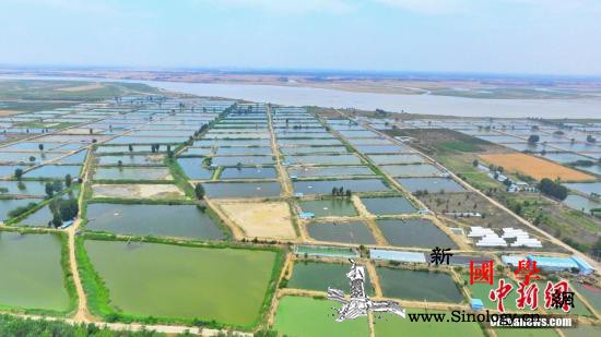 黄河委：2025年前基本控制下游游荡_黄河流域-调色盘-黄河-