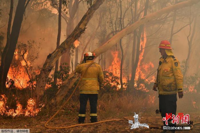 山火热浪持续来袭专家忧林火灰烬或污染_悉尼-消防队员-澳大利亚-