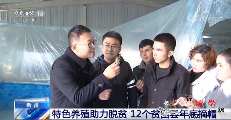 新疆特色养殖助力脱贫12个贫困县年底_阿克陶县-脱贫-柯尔克孜-