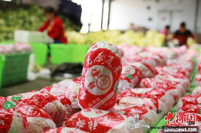 甘肃党外人士聚焦现代农业建言凝练特质_甘肃-党外人士-无党派人士-