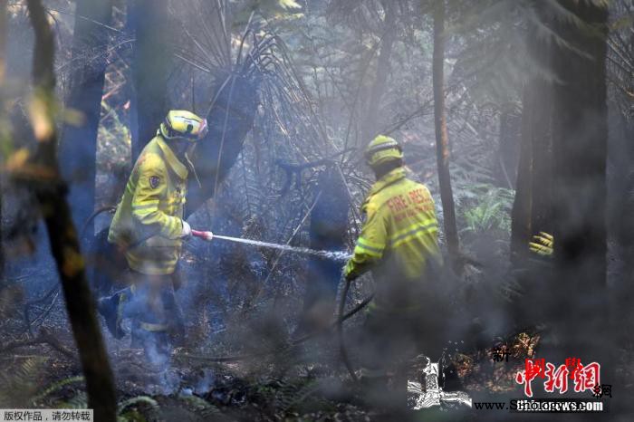 澳新州推新规：司机全面禁火时乱扔烟蒂_蓝山-悉尼-禁火-