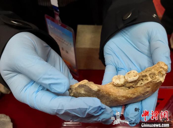 夏河丹尼索瓦人研究成果入选《科学》年_夏河-阿尔泰山-丹尼-