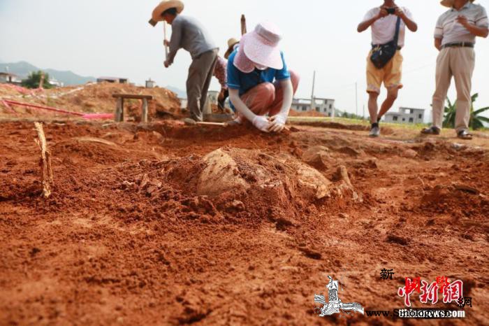 2019年中国开展中外联合考古项目4_乌兹别克斯坦-遗址-考古-