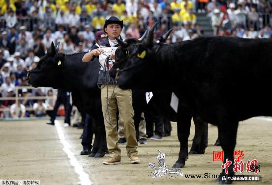 亏大了?日媒:日美贸易协定将使日本农_日美-减产-日本-