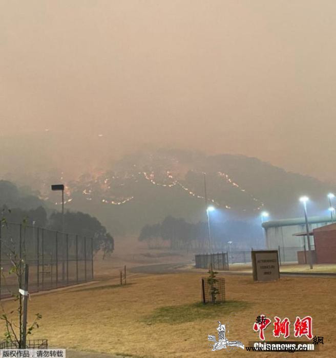 林火风险难排除悉尼港跨年烟花表演或临_悉尼-澳大利亚-野火-