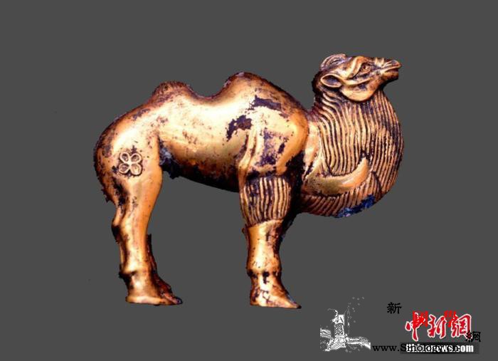 秦始皇陵陵西大墓出土罕见金骆驼墓主身_墓葬-博物院-出土-