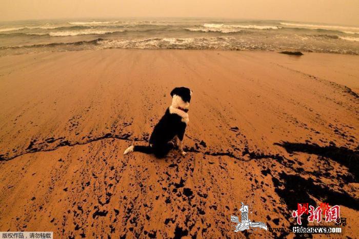 澳山火持续多国帮忙灭火马克龙：我们团_巴布亚新几内亚-山火-澳大利亚-