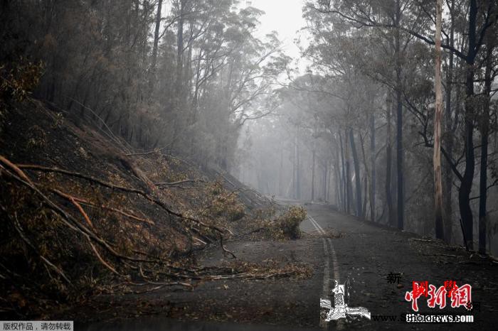 澳大利亚林火已致25死美英等国领导人_澳大利亚-会晤-火场-