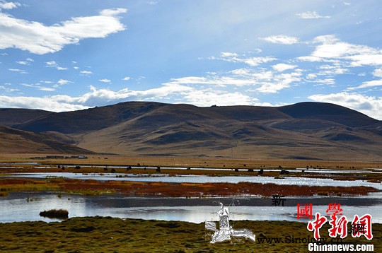 2020年中国将正式设立三江源国家公_丰美-湿地-水草-
