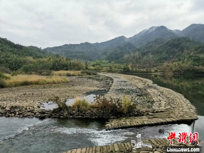 解读莲都“治理密码”：党建引领探新路_丽水-景区-党建-