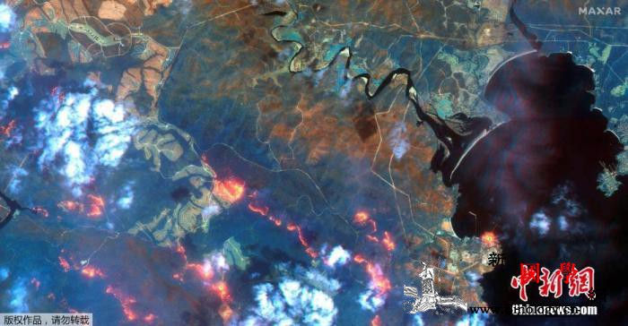 澳林火延烧逾10万平方公里专家：生态_澳大利亚-野火-生态学家-