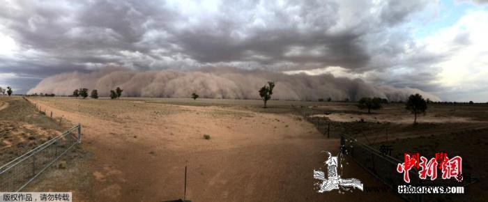 澳大利亚极端天气拉响警报场景宛如“世_澳大利亚-沙尘暴-气象局-