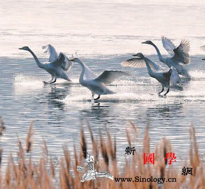 成绩单瞩目、营商环境改善……地方两会_河南省-脱贫-扶贫-