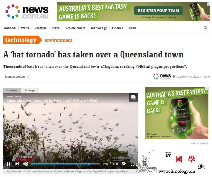 “蝙蝠龙卷风”侵袭澳昆州父母担忧孩子_澳大利亚-蝙蝠-斯塔-