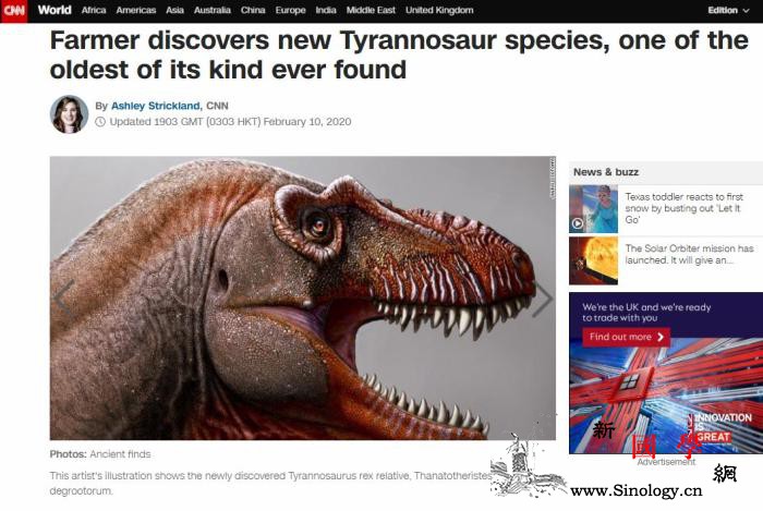 加拿大男子发现暴龙属新物种化石可追溯_加拿大-美国-化石-