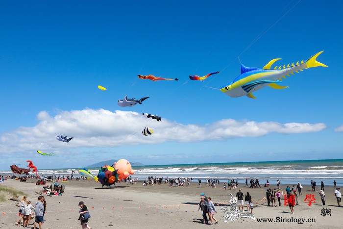 放飞祝福-;-;中国风筝亮相新西兰奥_惠灵顿-文化中心-风筝-塔基-