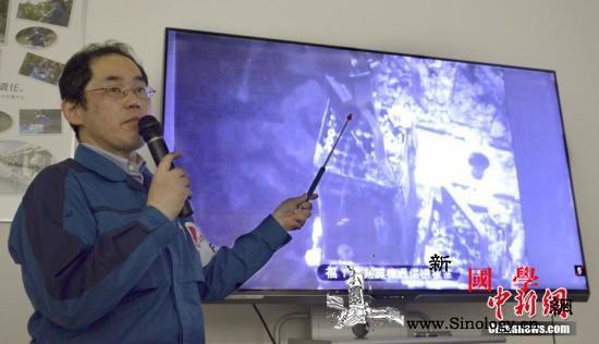 福岛核事故去污土壤将用于环境省盆栽以_盆栽-贝克-土壤-