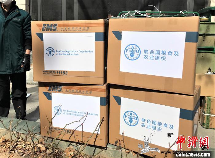 联合国粮农组织向中国捐赠医疗物资以支_粮农组织-联合国-肺炎-