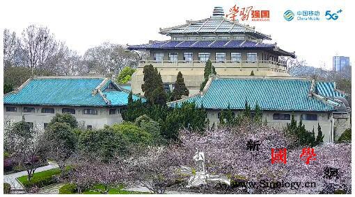 武汉大学开启线上"云赏樱"英雄武汉_东湖-樱花-武汉-武汉大学-