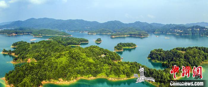 广东森林蓄积量达5.79亿立方米将系_林业局-广东省-广东-