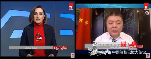 驻黎巴嫩大使接受黎国家电视台专访_黎巴嫩-疫情-防疫-国家-