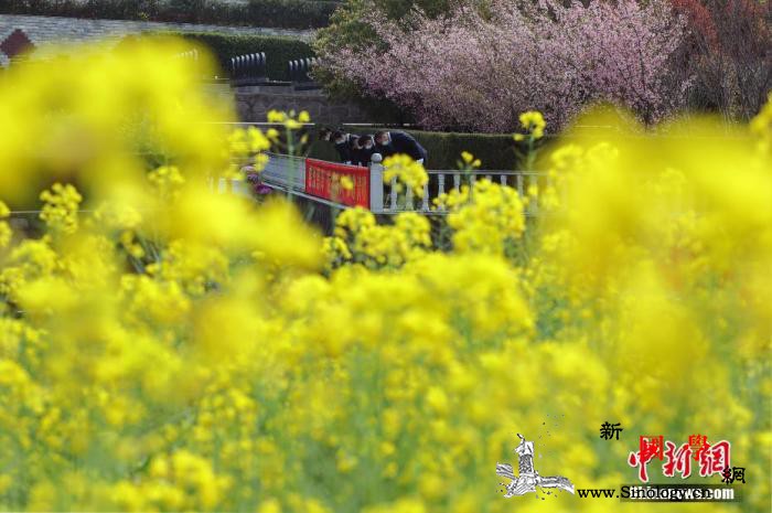 应急管理部清明节消防安全提示：文明祭_祭扫-火灾-南京市-