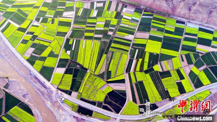 甘肃要求官员进入自检状态经得起“显微_武山-脱贫-甘肃-