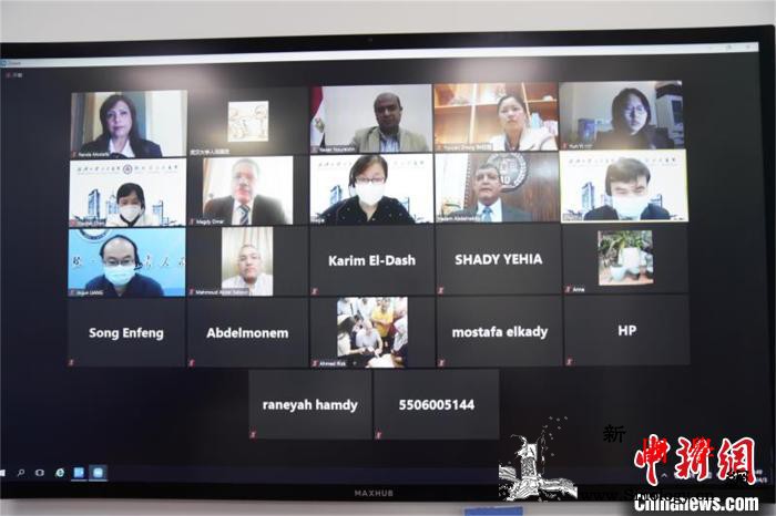 武汉大学人民医院举办国际连线助力海外_埃及-肺炎-西西里-