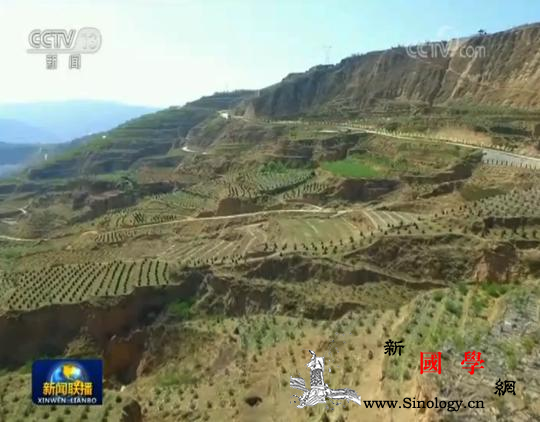 改善生态各地积极推进植树造林_画中画-植树造林-脱贫-