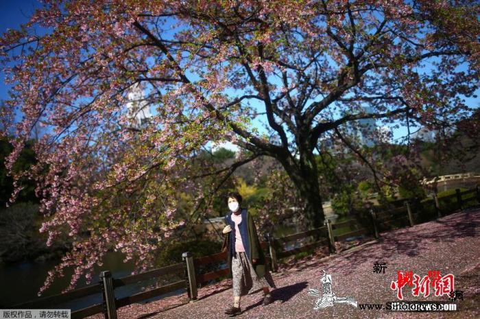 跨界抗“疫”日本丰田公司将生产医用防_丰田-面罩-日本-