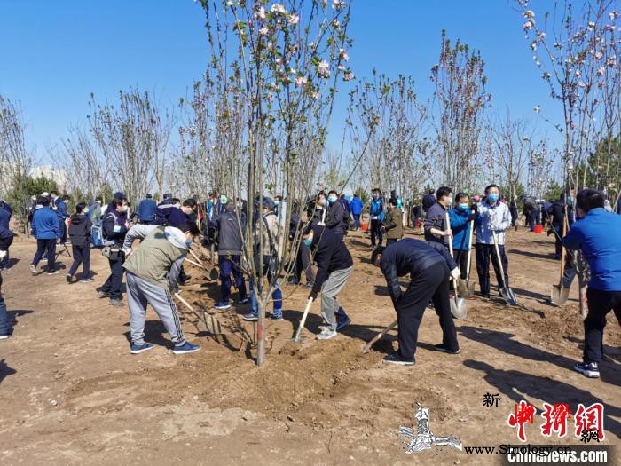 2020年共和国部长义务植树活动在京_画中画-共和国-植树-