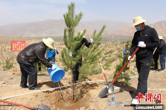 青海多地国土绿化扮靓高原颜值每年保持_青海省-同仁县-造林-