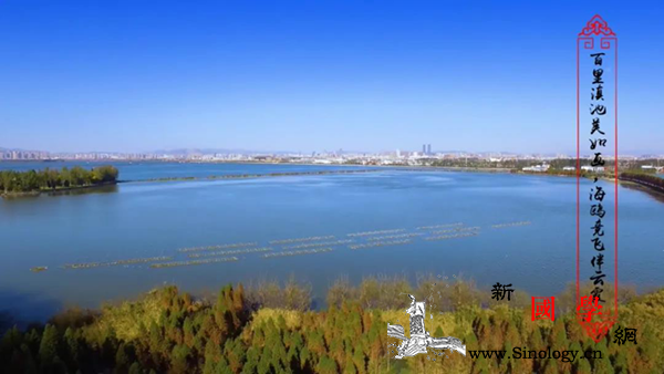 文艺抗疫：非遗滇剧唱响春归_天佑-云南省-线上-抗击-