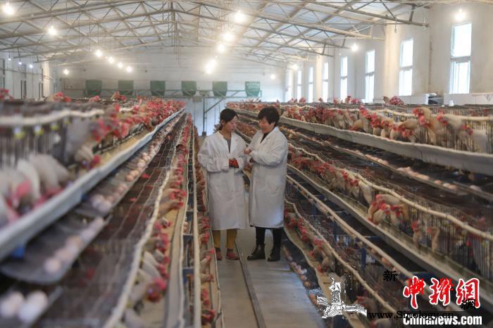 全国政协委员余留芬：巩固脱贫成果农村_余留-脱贫-政协委员-