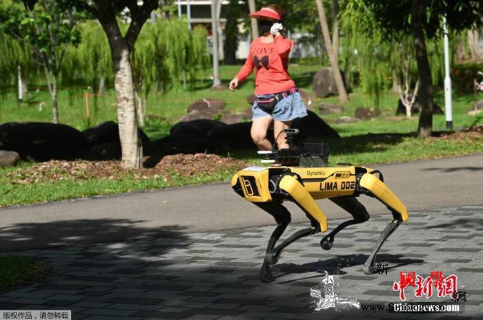 新加坡新冠确诊累计超2.8万例逾2._卫生部-画中画-劳工-