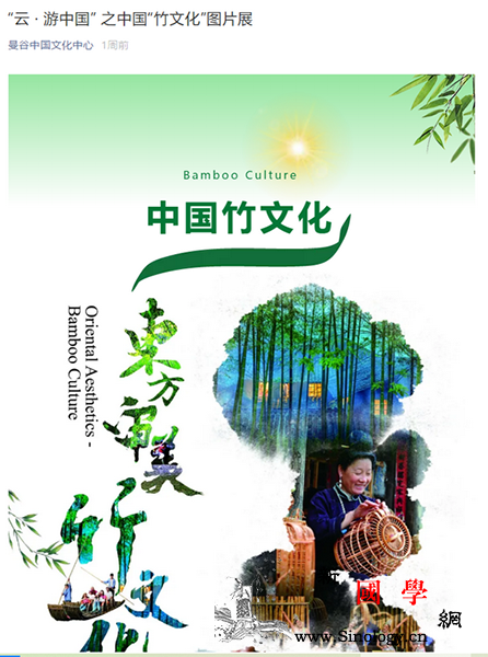 看图识竹-;-;新媒体平台上的东方竹_霍山-曼谷-线上-竹子-