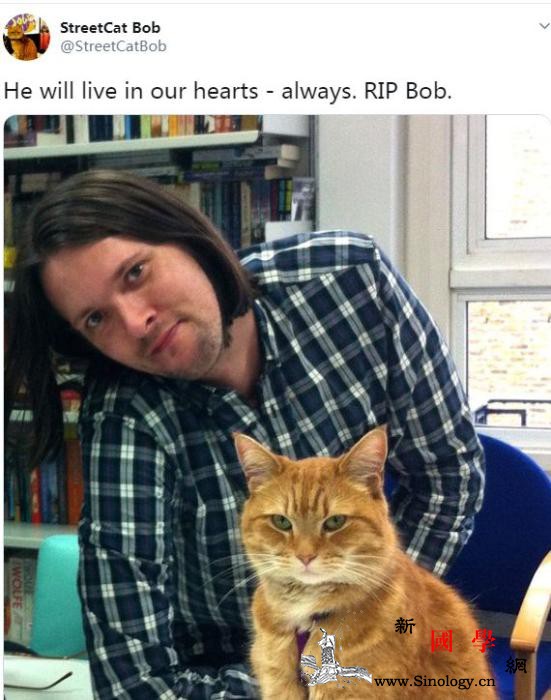 电影主角流浪猫鲍勃去世主人：生命中失_詹姆斯-道光-猫咪-